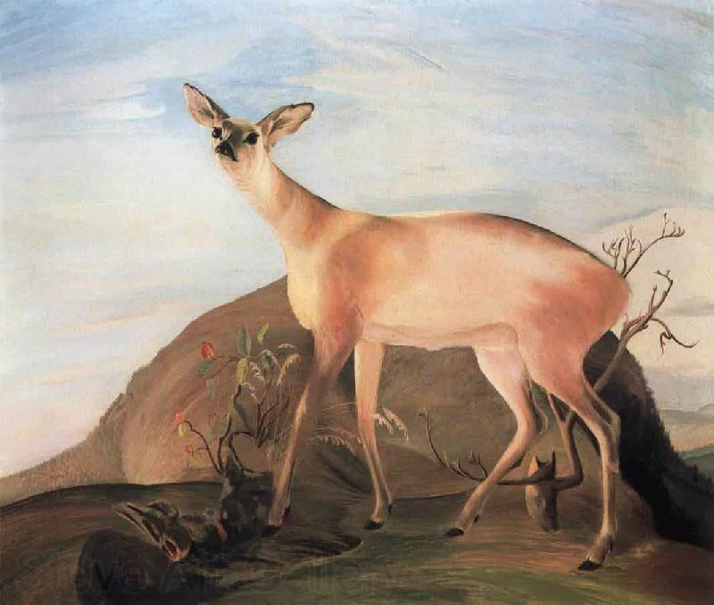 Kosztka, Tivadar Csontvry Deer